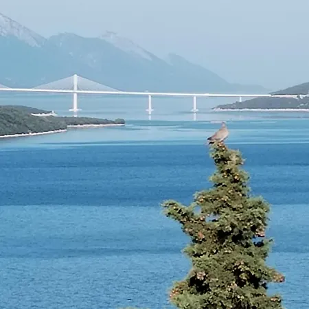 Guest House Life Guest house 3*