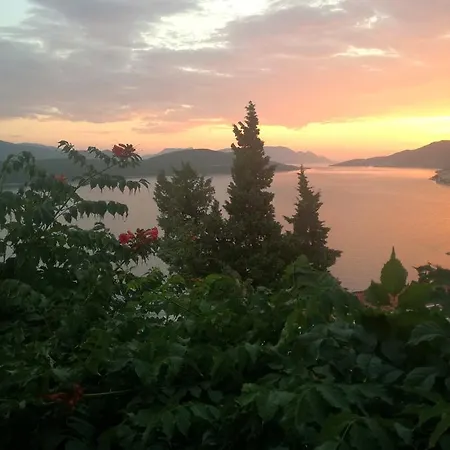 And Barbaric Neum