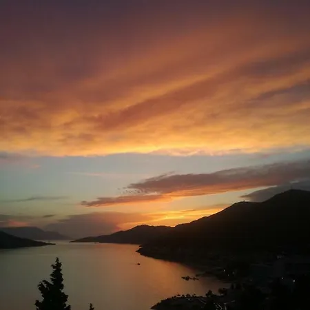 Life 3* Neum
