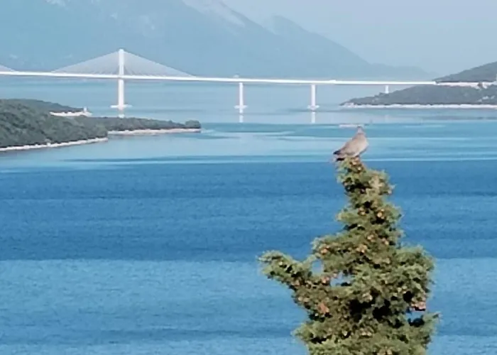 Guest House Life Guest house 3*